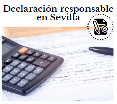 declaracion responsable